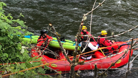 Kayaker rescued after getting stuck in a log jam on the Cedar River