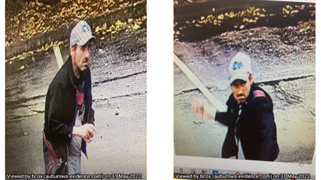 Auburn police search for rock thrower that caused more than $7,000 in property damage