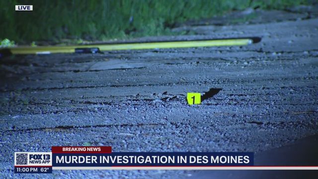 Homicide victim found dumped in the Duwamish River identified