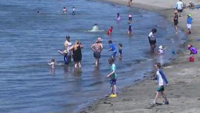 6 Seattle beaches open June 25, 3 remain closed this summer due to lifeguard shortage