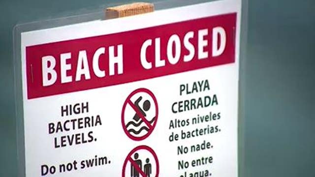 Matthews Beach closed due to high levels of bacteria