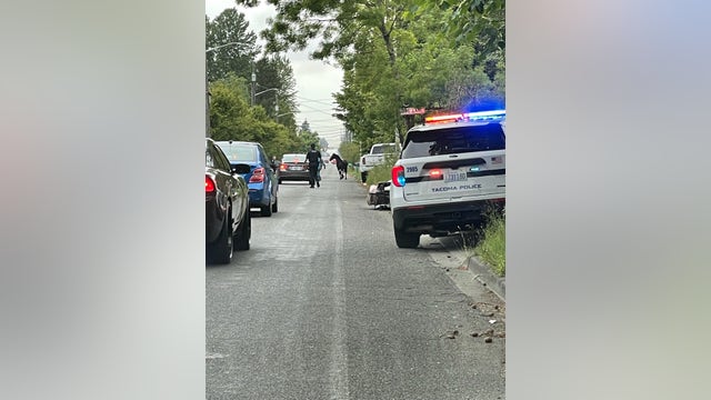 Police help wrangle 10 escaped horses in Tacoma