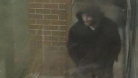 Pink Gorilla Games offers $10,000 reward to catch burglar caught on camera