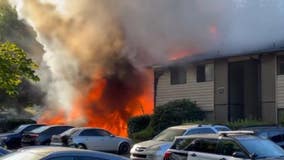 Families displaced after massive fire burns Renton apartment complex
