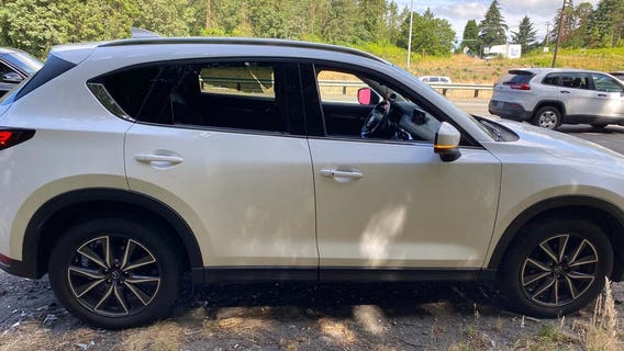 Troopers seek witnesses in suspected drive-by pellet gun shooting