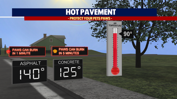 Dog dies after being left on balcony that reached 131°, owner charged with animal cruelty