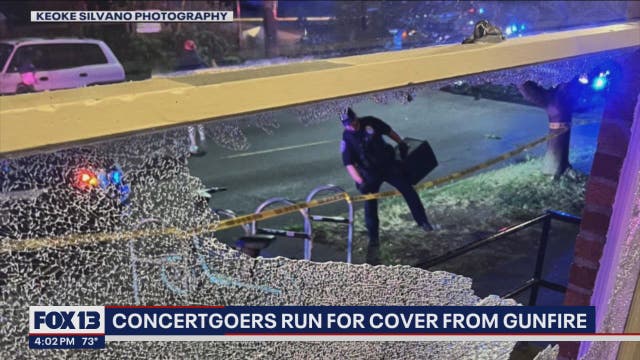 Cellphone video captures moment gunfire breaks up crowded Seattle concert