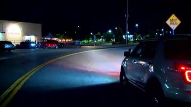 Owner reunited with puppy left in Mount Vernon Walmart during shooting