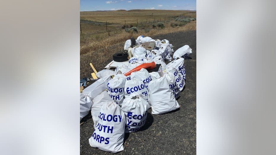 bags of collected garbage along road