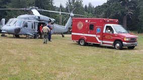 Pilot found dead in Jefferson County dense forest following plane crash