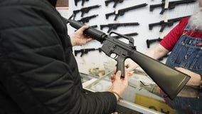 Most in US want stricter gun laws, AP-NORC poll finds