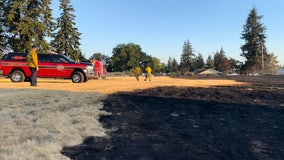 Fast moving brush fire nearly wipes out Lakewood homes