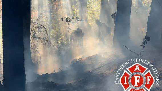 Crews extinguish brush fire that was spreading near a Bonney Lake neighborhood