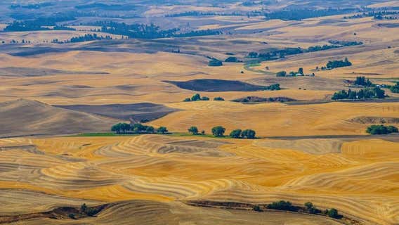 Drought emergency declared in Central Washington: 'This is the new normal'