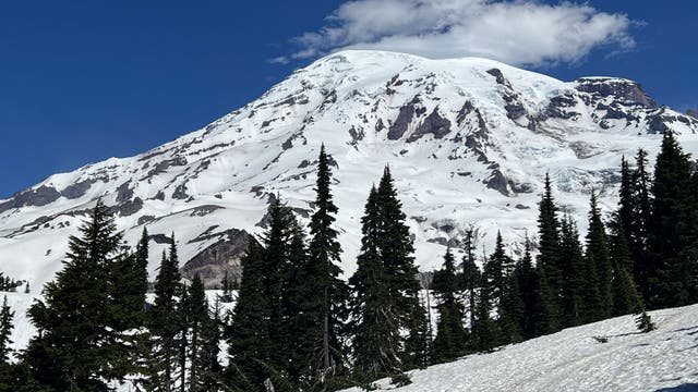 Park rangers recover body of fallen climber on Mount Rainier