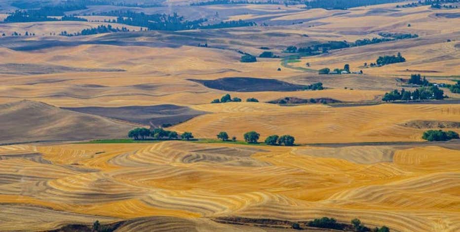 Drought emergency declared in Central Washington: 'This is the new normal'