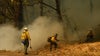 Bolt Creek Fire: Officials determine fire was 'human-caused'