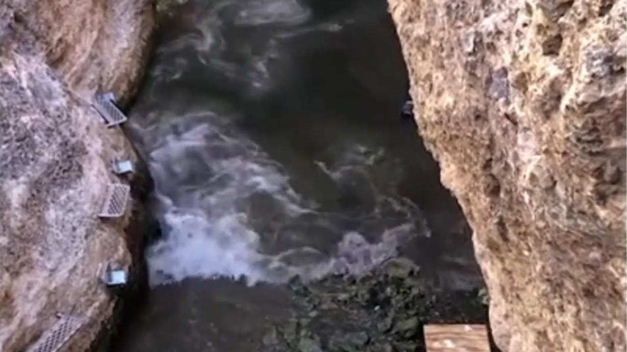 Tsunami live fox