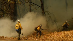 Bolt Creek Fire: Officials determine fire was 'human-caused'