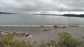 Waters near Whidbey Island will be dyed red for wastewater study