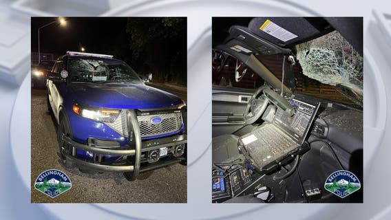 Railroad tie hurled at police car in Bellingham, shattering windshield
