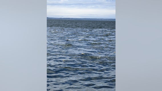 New photos show devastation after floatplane crashes with 10 on-board near Whidbey Island