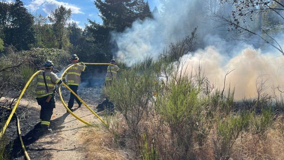 Crews knock down 'fast-moving' brush fire in south King County