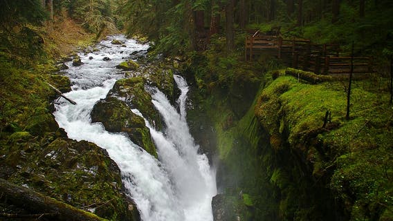 Man, 18, falls over waterfall to his death at WA's Olympic National Park
