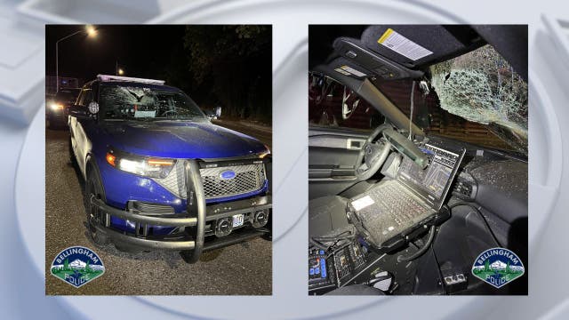 Railroad tie hurled at police car in Bellingham, shattering windshield