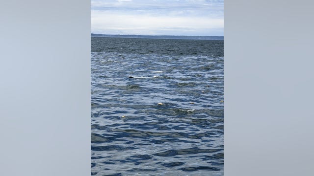 New photos show devastation after floatplane crashes with 10 on-board near Whidbey Island