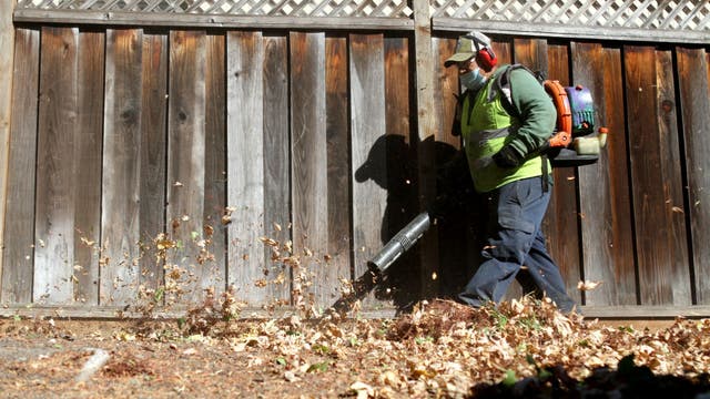 Seattle Council OKs plan to ban gas-powered leaf blowers