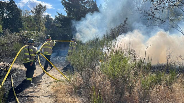 Crews knock down 'fast-moving' brush fire in south King County