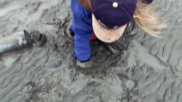 WDFW announces 56 tentative days of coastal razor clam digs starting Sept. 22