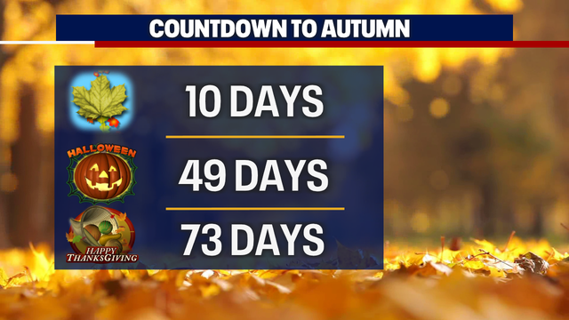 Seattle weather: Fall-like weather returns this week