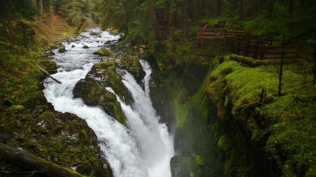 Man, 18, falls over waterfall to his death at WA's Olympic National Park