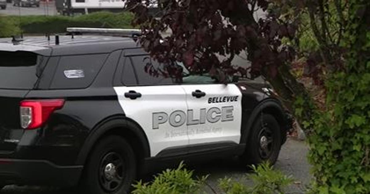 Man stabbed in Bellevue; suspect arrested | FOX 13 Seattle