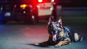 Tukwila Police Department honors the life, career of K9 Ace