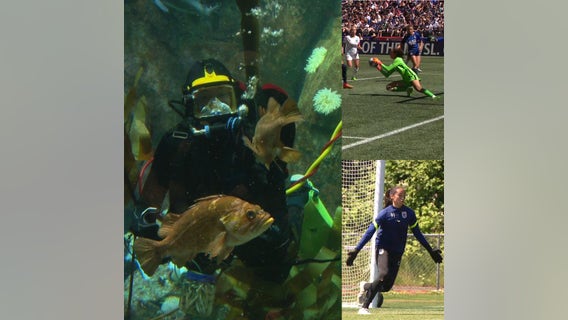 OL Reign's Goalie finds passion both on the field, and underwater