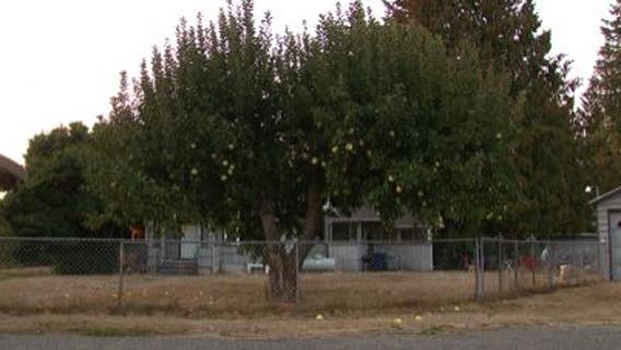 Off-duty Island County sheriff's sergeant arrested for 2 separate allegations of rape