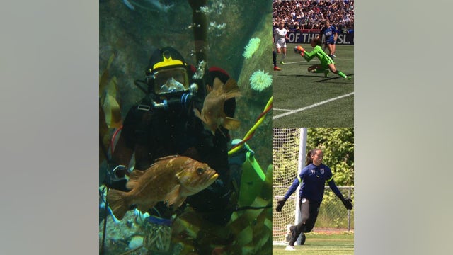 OL Reign's Goalie finds passion both on the field, and underwater