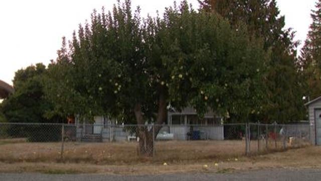 Off-duty Island County sheriff's sergeant arrested for 2 separate allegations of rape