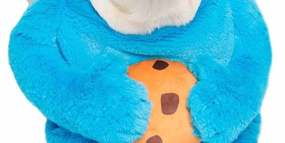 clown platter dog costume