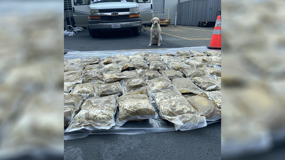 DOJ: Authorities In WA, CA Arrest 11 Drug Traffickers Connected To ...