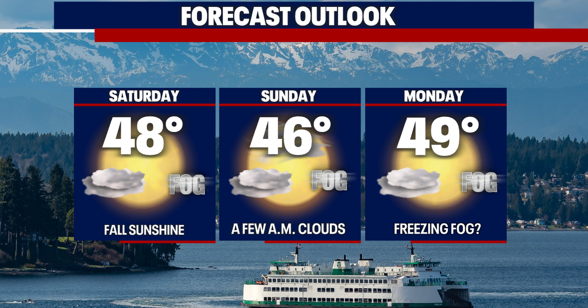 Seattle weather: A dry and cold weekend with areas of morning fog | FOX ...