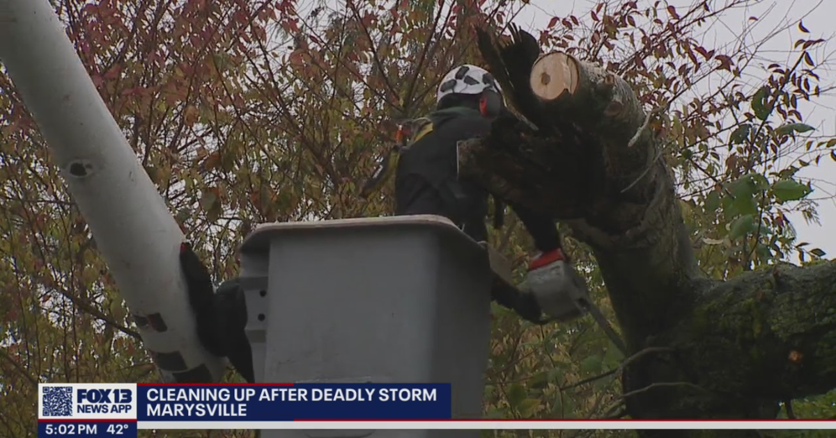 Over 26,000 customers without power in Snohomish County | FOX 13 Seattle