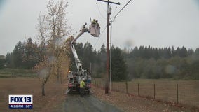 Powerlines, trees knocked down in Thurston County storm