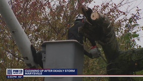 Over 26,000 customers without power in Snohomish County