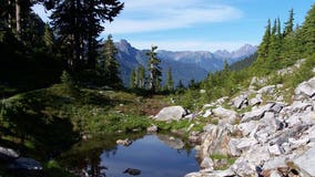 1 dead, 2 injured in small plane crash at Olympic National Park