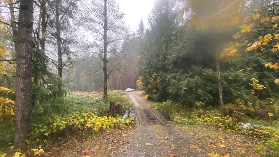 DNR to study impact on debris flows in Bolt Creek Fire burn area after heavy rainfall