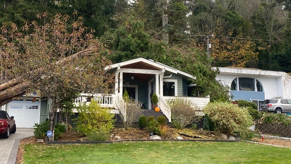 Lake Stevens sounded like "war zone" with trees coming down in Friday night storm, residents say